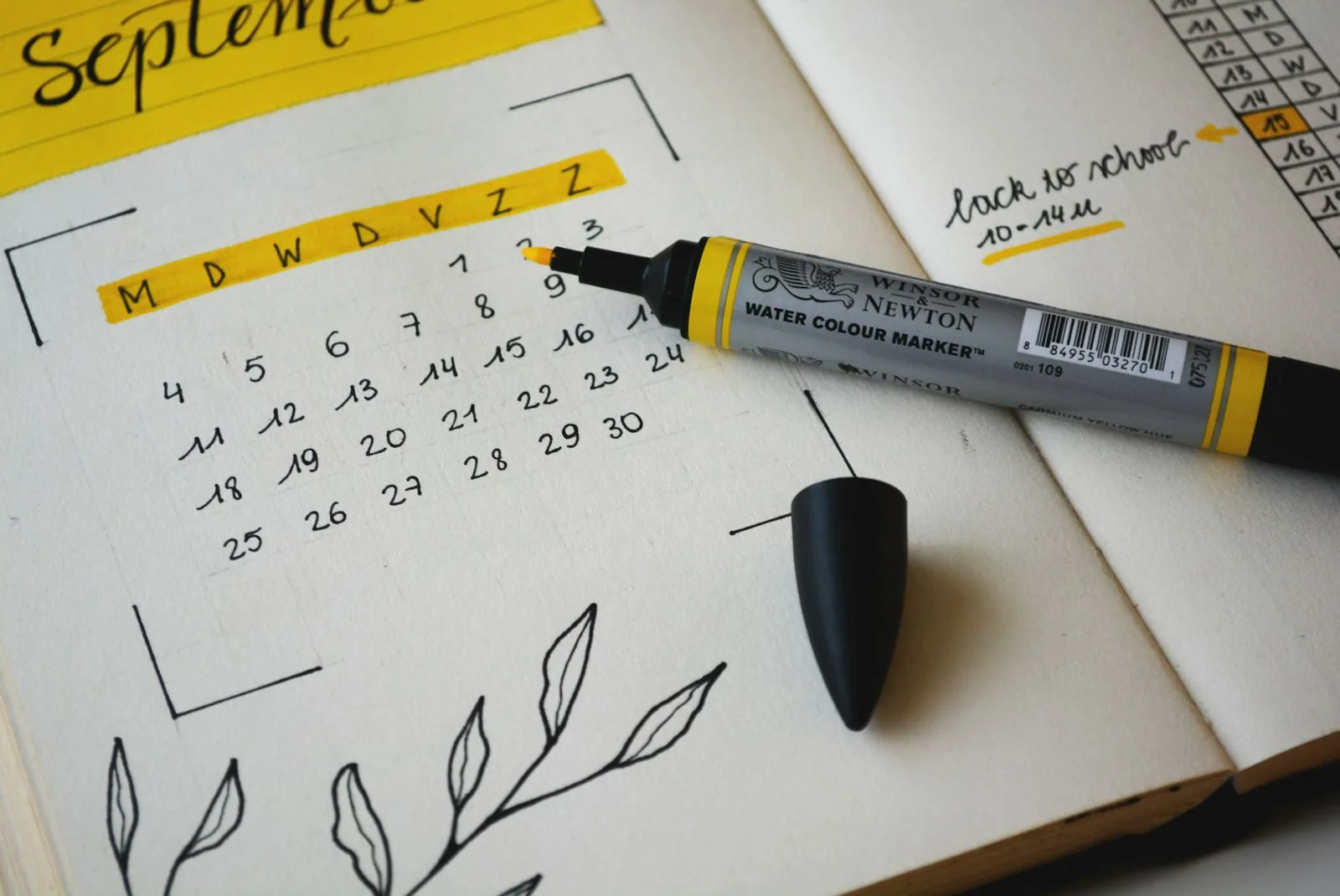 Spaced repetition: how to distribute review over time